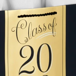 Hallmark 13" Assorted Grad Designs 3-Pack Large Gift Bags With Tissue Paper -Hallmark Assorted Grad Designs 3Pack Large Gift Bags With Tissue Paper 5GBC1015 06