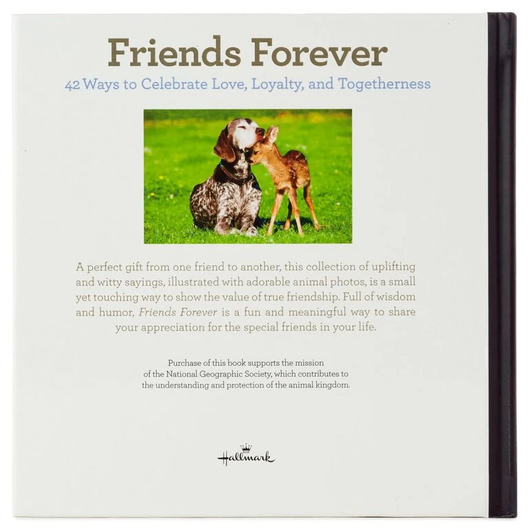 Hallmark Friends Forever: 42 Ways To Celebrate Love, Loyalty And Togetherness Book 4 Hallmark Friends Forever: 42 Ways To Celebrate Love, Loyalty And Togetherness Book - Image 4