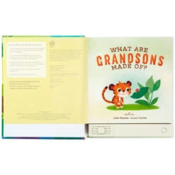 Hallmark What Are Grandsons Made Of? Recordable Storybook -Hallmark What Are Grandsons Made Of Recordable Storybook 1KOB1230 03
