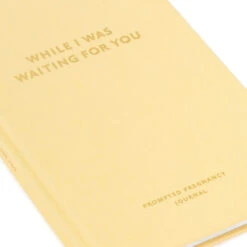 Hallmark While I Was Waiting Prompted Pregnancy Journal -Hallmark Yellow Prompted Pregnancy Journal 1BBA4141 08